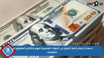 أسعار الدولار أمام الجنيه في البنوك المصرية اليوم والتأثير المتوقع على الاقتصاد